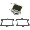 Supape din carbon RAD BOYESEN RAD-02B thumb