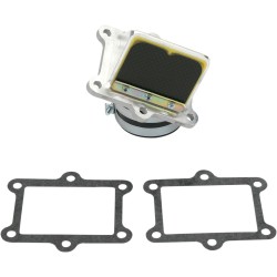 Supape din carbon RAD BOYESEN RAD-02B