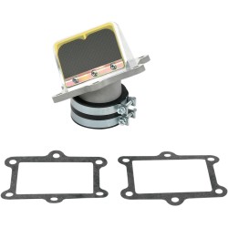 Supape din carbon RAD BOYESEN RAD-02C
