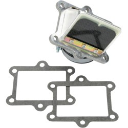 Supape din carbon RAD BOYESEN RAD-02D Supape din carbon RAD BOYESEN RAD-02D