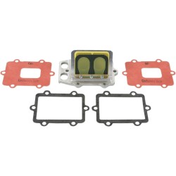 Supape din carbon RAD BOYESEN RAD-02G Supape din carbon RAD BOYESEN RAD-02G