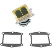 Supape din carbon RAD BOYESEN RAD-03A Supape din carbon RAD BOYESEN RAD-03A thumb