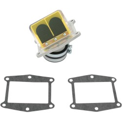 Supape din carbon RAD BOYESEN RAD-03A