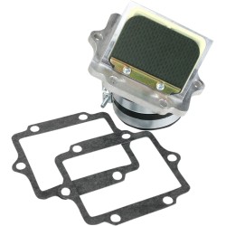 Supape din carbon RAD BOYESEN RAD-11A Supape din carbon RAD BOYESEN RAD-11A