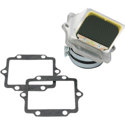 Supape de carbon RAD BOYESEN RAD11G Supape de carbon RAD BOYESEN RAD11G