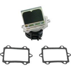 Supape din carbon RAD BOYESEN RAD24XA Supape din carbon RAD BOYESEN RAD24XA