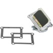 Supape din carbon RAD BOYESEN RAD33E Supape din carbon RAD BOYESEN RAD33E thumb