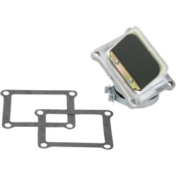 Supape din carbon RAD BOYESEN RAD33E Supape din carbon RAD BOYESEN RAD33E