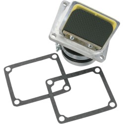 Supape din carbon RAD BOYESEN RAD-33 Supape din carbon RAD BOYESEN RAD-33