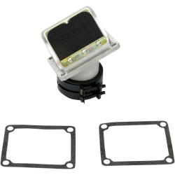 Supape din carbon RAD BOYESEN RAD34XA