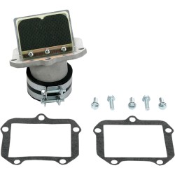 Supapă din carbon RAD VALVE BOYESEN RAD42X