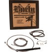 Set de control 15 BAGGER SS BURLY BRAND B30-1317 Set de control 15 BAGGER SS BURLY BRAND B30-1317 thumb