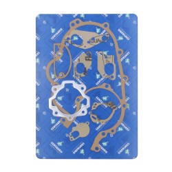 Set complet garnituri PI CENTAURO 880A138FL Set complet garnituri PI CENTAURO 880A138FL