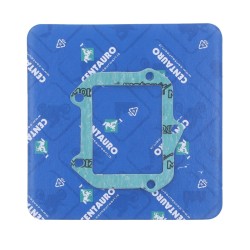 Garnitură de admisie KT/HV CENTAURO 411B09001 Garnitură de admisie KT/HV CENTAURO 411B09001