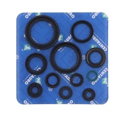 Garnitură de ulei HO CENTAURO 666A310SR Garnitură de ulei HO CENTAURO 666A310SR