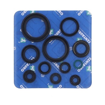 Garnitură de ulei HO CENTAURO 666A310SR Garnitură de ulei HO CENTAURO 666A310SR