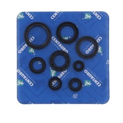 Garnitură de ulei HO CENTAURO 666A126SR Garnitură de ulei HO CENTAURO 666A126SR