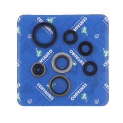 Garnitură de ulei KT/HV CENTAURO 731A004SR Garnitură de ulei KT/HV CENTAURO 731A004SR