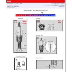 Bujie power sport 8698-1 CHAMPION 8698/T10 Bujie power sport 8698-1 CHAMPION 8698/T10