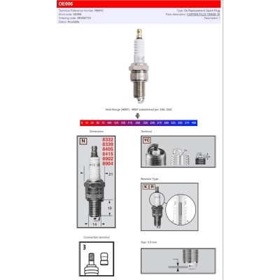 Bujie CHAMPION S-PLUG RN9YC CHAMPION OE006
