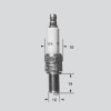 Bujie CHAMPION S-PLUG HD RG6HCC CHAMPION CCH388