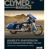 Manual HD FLH/FLT 11-19 ALTE 9781620923702