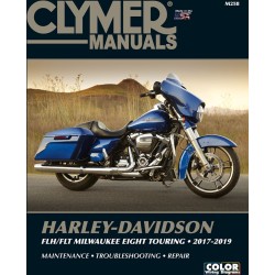 Manual HD FLH/FLT 11-19 ALTE 9781620923702