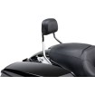 Spătar scurt DTCH BKRST CHR FLH 97-08 COBRA 602-2212 Spătar scurt DTCH BKRST CHR FLH 97-08 COBRA 602-2212 thumb