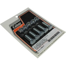 Șurub și piuliță KT brake RTR COLONY 3425-10 Șurub și piuliță KT brake RTR COLONY 3425-10