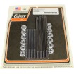 Set de șuruburi pentru carcasă motor BT/EVO COLONY 9884-20 Set de șuruburi pentru carcasă motor BT/EVO COLONY 9884-20 thumb