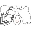 Set garnituri pentru partea inferioară COMETIC C3310 Set garnituri pentru partea inferioară COMETIC C3310 thumb