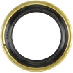 Garnitură pentru angrenaj de ieșire 12077 COMETIC C9200F1 Garnitură pentru angrenaj de ieșire 12077 COMETIC C9200F1 thumb