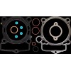 Set garnituri partea superioară KTM/HUSQ/GAS COMETIC C3595-EST