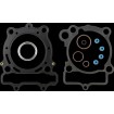 Set garnituri T/E RM-Z250 10-23 79MM COMETIC C3407-EST Set garnituri T/E RM-Z250 10-23 79MM COMETIC C3407-EST thumb