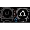 Set garnituri T/E YZ450F,YZ450FX,WR450F 97MM COMETIC C3630 Set garnituri T/E YZ450F,YZ450FX,WR450F 97MM COMETIC C3630 thumb