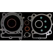 Set garnituri T/E KX450 96MM COMETIC C3696 Set garnituri T/E KX450 96MM COMETIC C3696 thumb