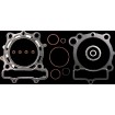 Set garnituri T/E KAW KX250,KX250X COMETIC C3803 Set garnituri T/E KAW KX250,KX250X COMETIC C3803 thumb