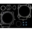 Set garnituri T/E HON TRX450R,TRX450ER 101MM COMETIC C3156-EST Set garnituri T/E HON TRX450R,TRX450ER 101MM COMETIC C3156-EST thumb