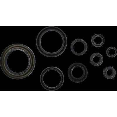 Set garnituri pentru camera de ulei TRX450R, TRX450ER COMETIC C3139OS