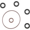 Set de inele de etanșare pentru modul de inducție - Fuel Inj - Twin Cam COMETIC C10073 Set de inele de etanșare pentru modul de inducție - Fuel Inj - Twin Cam COMETIC C10073 thumb