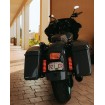 Probeam low profile led taillight smoked CUSTOM DYNAMICS PB-TL-LP-S thumb