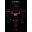 Semnalizatoare spate LED PROBEAM 1157 BASE CUSTOM DYNAMICS PB-RR-1157 Semnalizatoare spate LED PROBEAM 1157 BASE CUSTOM DYNAMICS PB-RR-1157 thumb