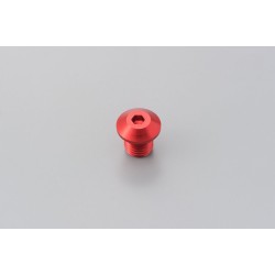 Șurub pentru blocarea oglinzii RD stânga DAYTONA 99795 Șurub pentru blocarea oglinzii RD stânga DAYTONA 99795
