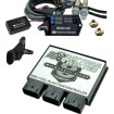 Modul electronic de control al injecției de combustibil - M8 DAYTONA 17809 Modul electronic de control al injecției de combustibil - M8 DAYTONA 17809 thumb