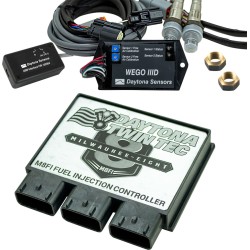 Modul de control electronic pentru injecția de combustibil - M8 DAYTONA 17811