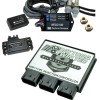 Modul de control electronic pentru injecția de combustibil - M8 DAYTONA 17813