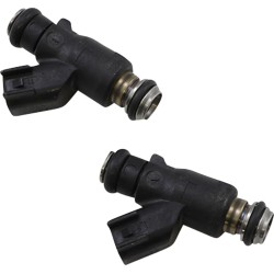 Injector de combustibil de înaltă performanță DAYTONA 20071