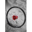 Roată DIRTSTAR ST-X 1.60X21 36 DID 21X160 PBK36HHONRED thumb