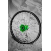 Roată DIRTSTAR ST-X 1.60X21 36 DID 21X160 PBK36HKAWGR Roată DIRTSTAR ST-X 1.60X21 36 DID 21X160 PBK36HKAWGR thumb