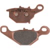 Plăcuță de frână DP sinterizată pentru înlocuire stradală, touring, off-road/ATV DP BRAKES DP218